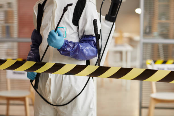 Professional Crime Scene Cleanup technician working in Mims, FL